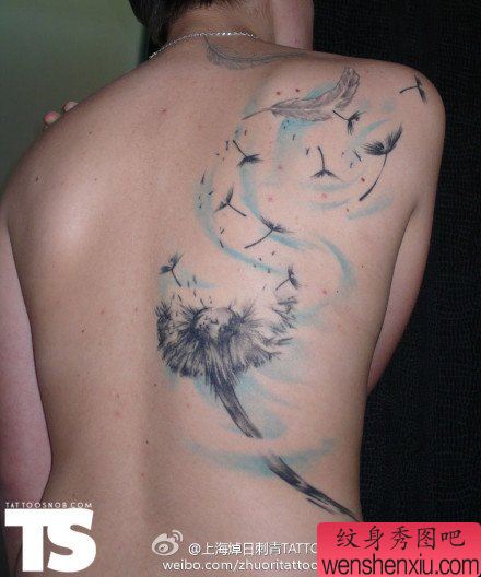 一幅男性背部唯美的蒲公英纹身图案