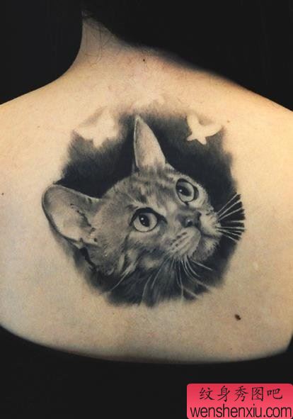 女生背部黑灰素描猫咪纹身图案