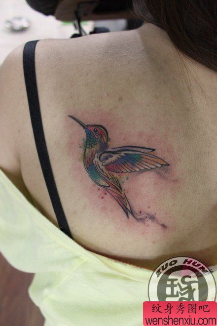 女生背部漂亮的彩色小蜂鸟纹身图案