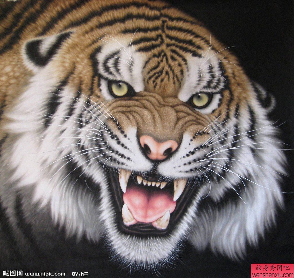 纹身秀图吧为你分享几款霸气的虎头纹身图案手稿图片之一