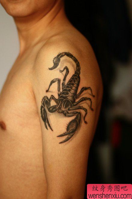 男生手臂流行经典的蝎子纹身图案