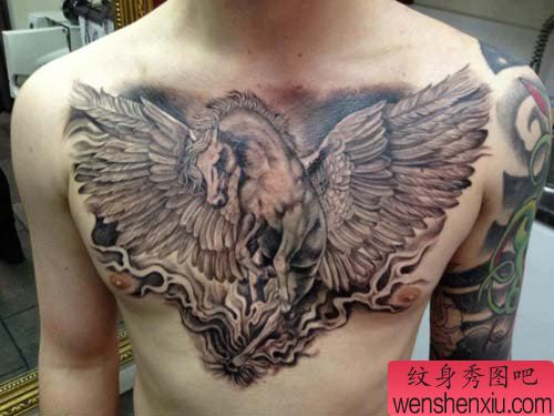 男性前胸时尚的超酷的天马纹身图案