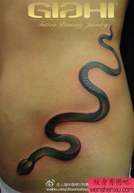 腹部精美小巧的蛇纹身图案