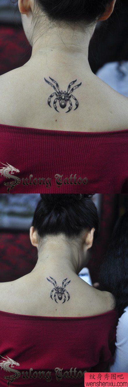 女生背部流行时尚的蜘蛛纹身图案