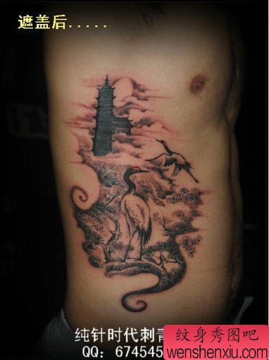 男性侧腰经典的仙鹤白鹤纹身图案