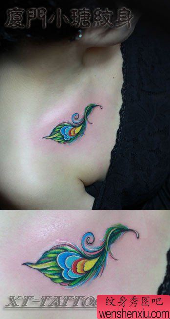 美女胸部漂亮流行的彩色羽毛纹身图案