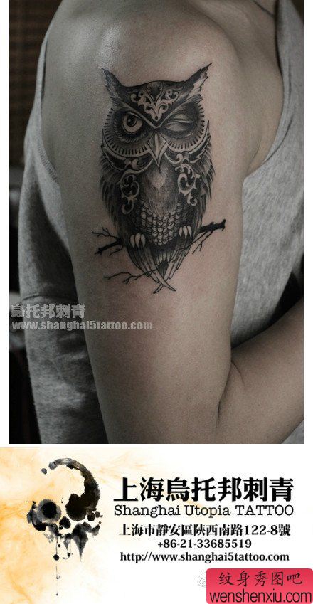 男性手臂帅气可爱的猫头鹰纹身图案