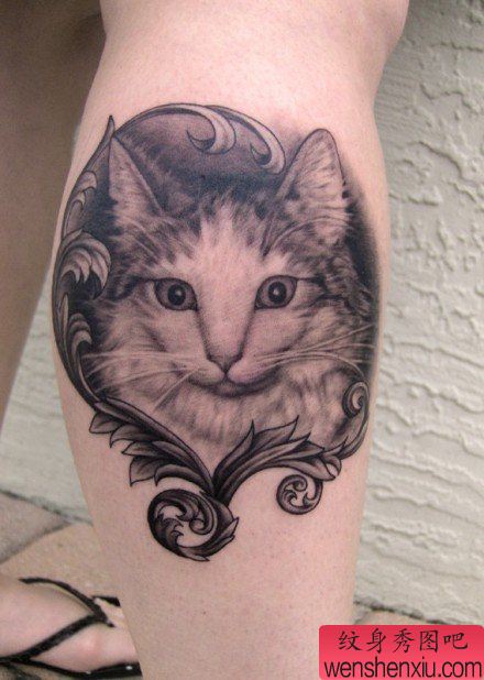 一幅腿部呆呆的猫咪纹身图案