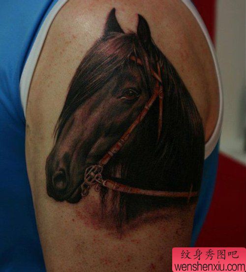 男性手臂帅气流行的马纹身图案