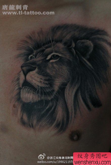 男性前胸超酷帅气的狮子纹身图案