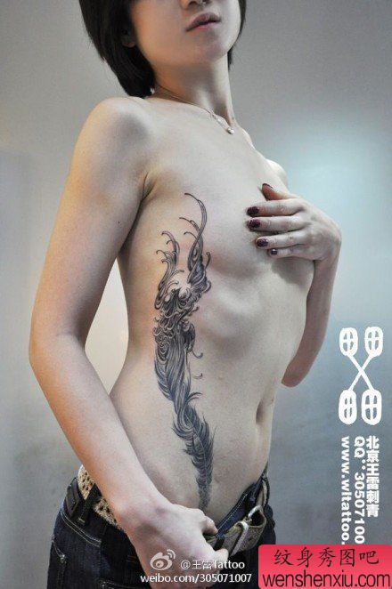美女腹部到肋部凤凰与羽毛纹身图案