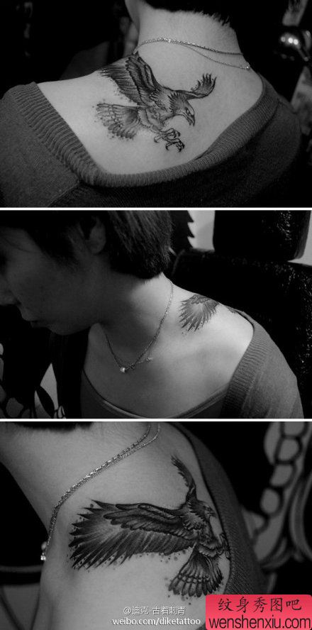 美女肩背帅气经典的老鹰纹身图案