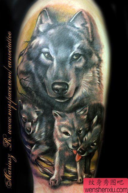 手臂流行帅气的狼头纹身图案