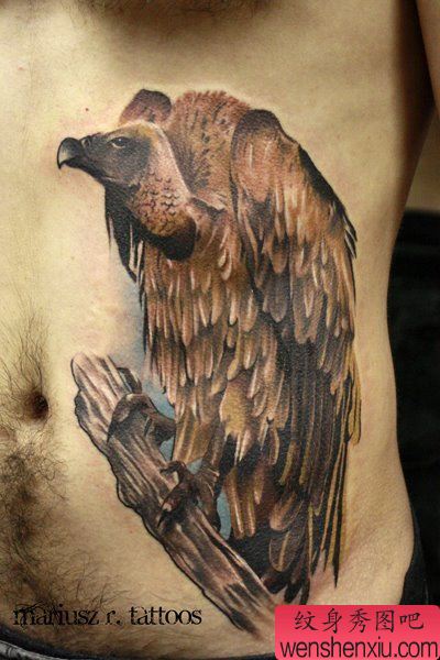 男性腹部一幅经典的秃鹫纹身图案