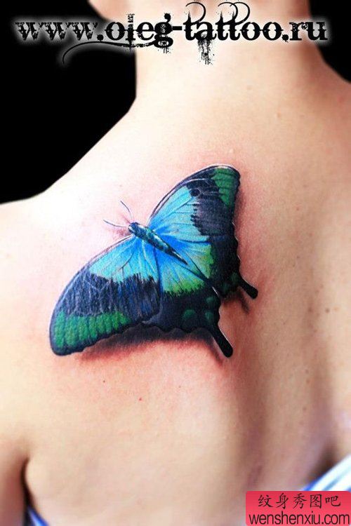 美女肩背漂亮流行的彩色蝴蝶纹身图案