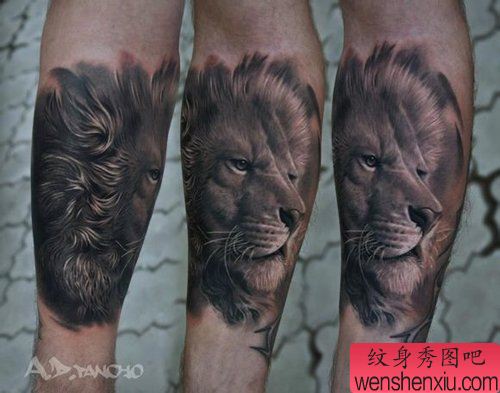 男性手臂流行帅气的狮子纹身图案