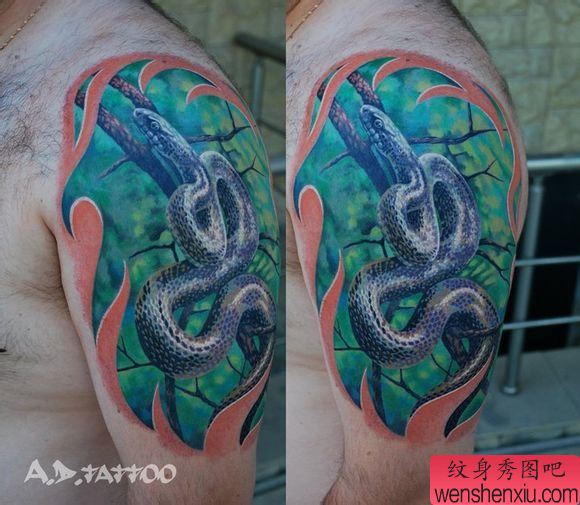 男性手臂精流行超酷的欧美彩色蛇纹身图案