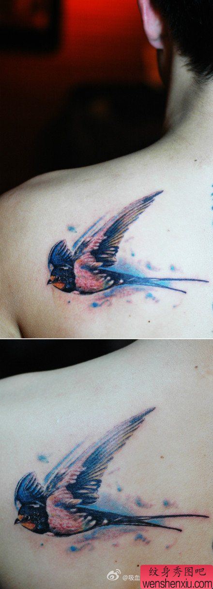 男生肩背流行好看的小燕子纹身图案
