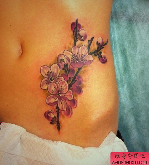 女生腹部流行漂亮的梅花纹身图案