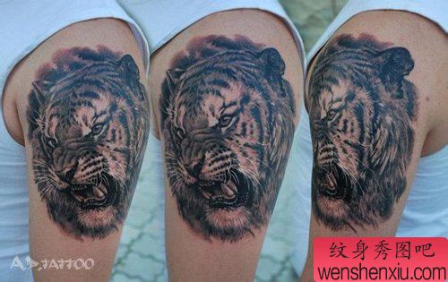 男性手臂霸气超酷的虎头纹身图案