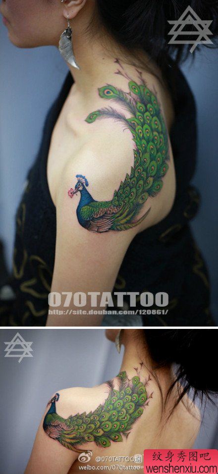 美女肩背漂亮精美的彩色孔雀纹身图案