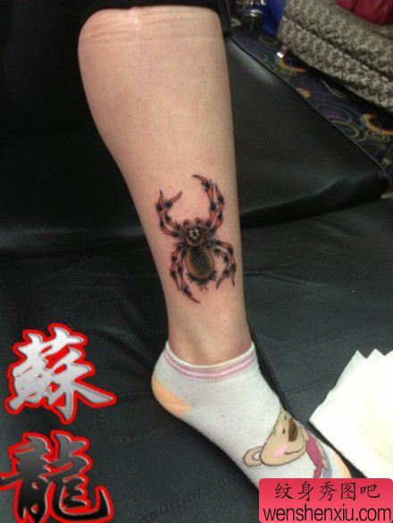 腿部精美流行的一幅彩色蜘蛛纹身图案