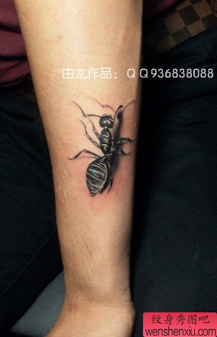 男生手臂可爱流行的小蚂蚁纹身图案