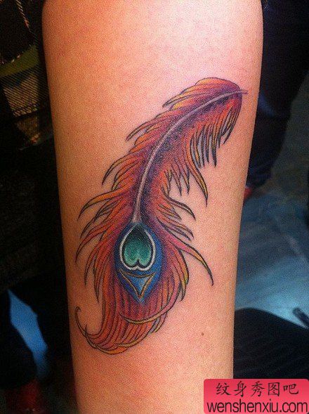 女生腿部精美漂亮的凤凰羽毛纹身图案