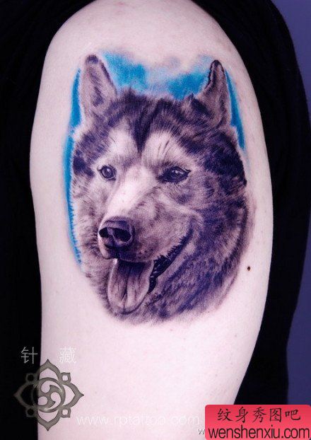 手臂帅气经典的小狗肖像纹身图案