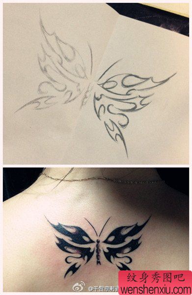 女生背部流行唯美的蝴蝶纹身图案