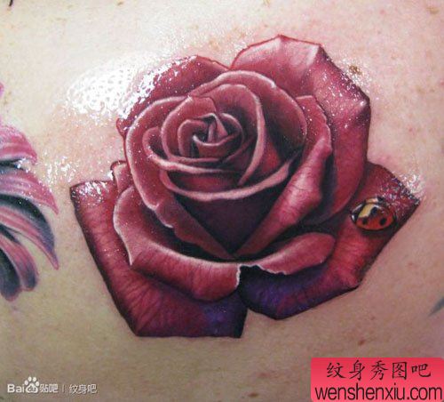 艳丽流行的彩色玫瑰花纹身图案