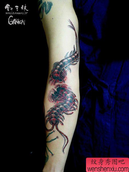 男性手臂超酷的蜈蚣纹身图案