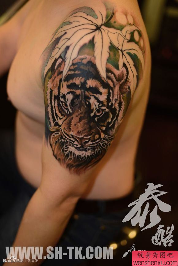 胳膊丛林之虎纹身图案