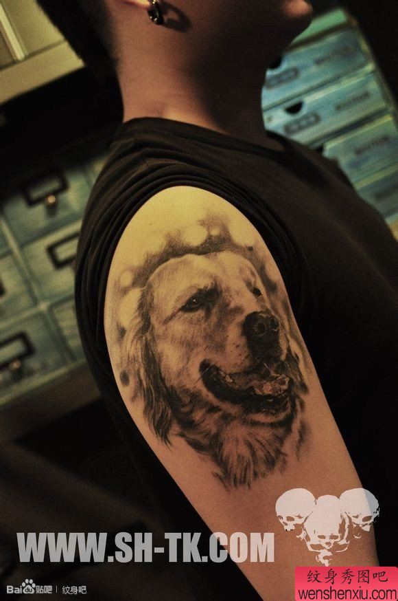 男性胳膊宠物狗纹身图案