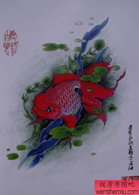 中华金鱼纹身手稿(1)