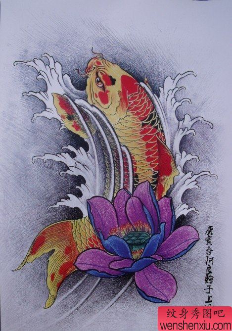中华锦鲤纹身手稿(6)