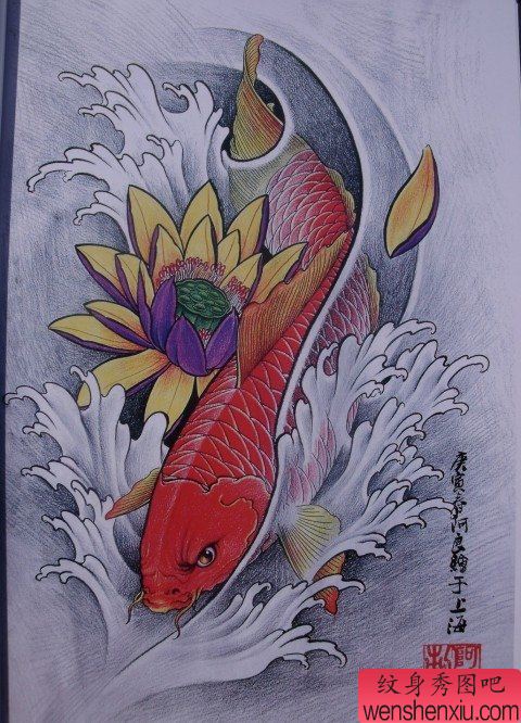 中华锦鲤纹身手稿(14)