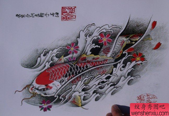 中华锦鲤纹身手稿(17)