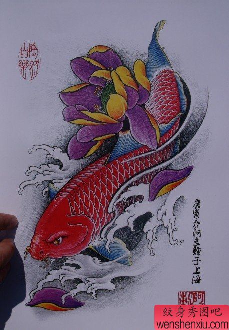 中华锦鲤纹身手稿(16)