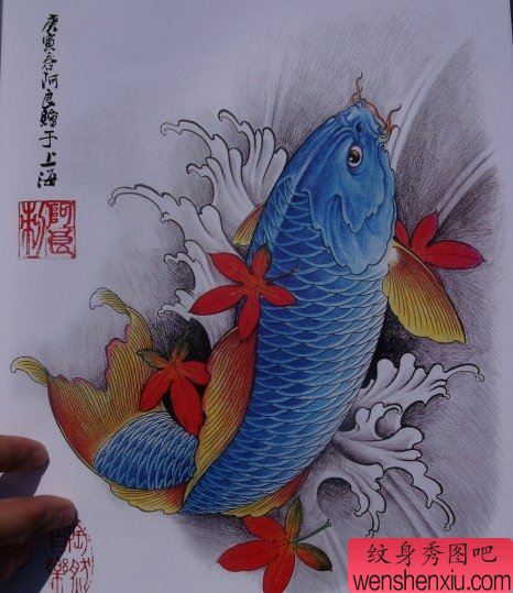 中华锦鲤纹身手稿(19)