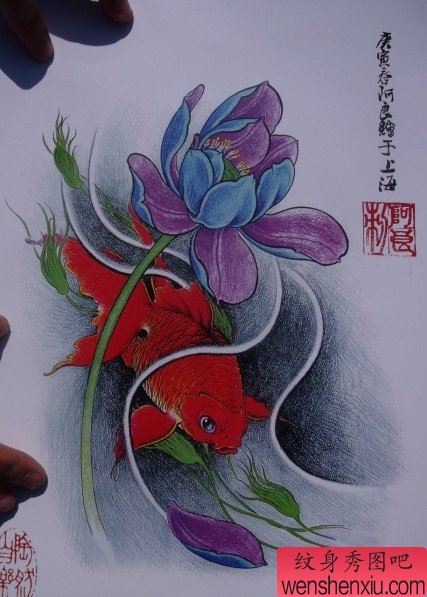 中华锦鲤纹身手稿(22)