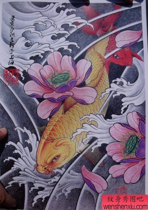 中华锦鲤纹身手稿(23)