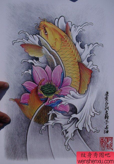 中华锦鲤纹身手稿(24)