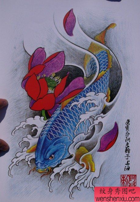中华锦鲤纹身手稿(25)