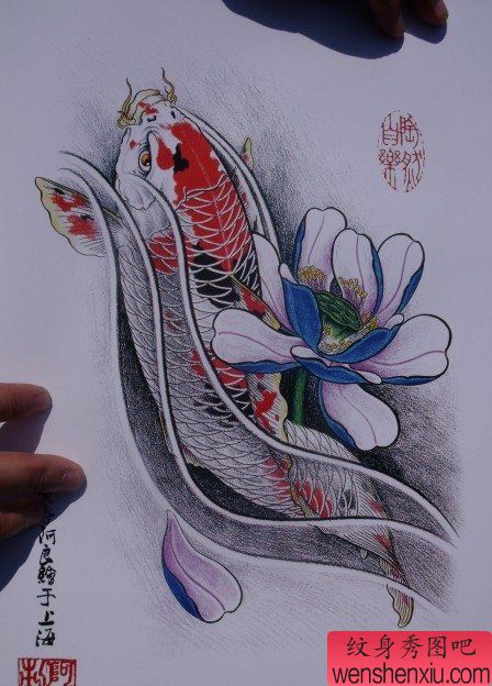中华锦鲤纹身手稿(27)