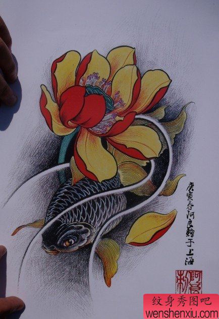 中华锦鲤纹身手稿(29)