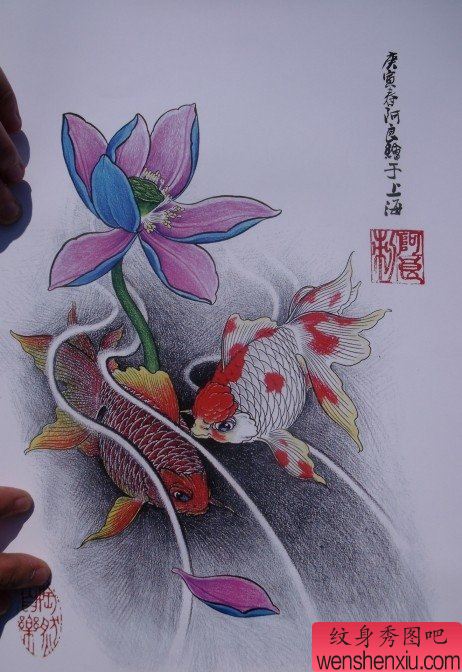 中华锦鲤纹身手稿(31)