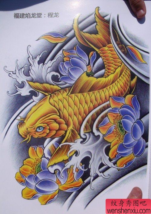 中华锦鲤纹身手稿(35)