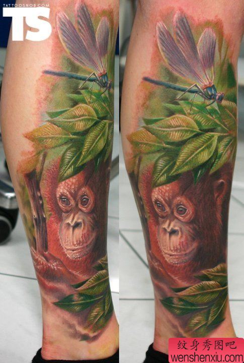 腿部一幅创意猴子蜻蜓文身作品