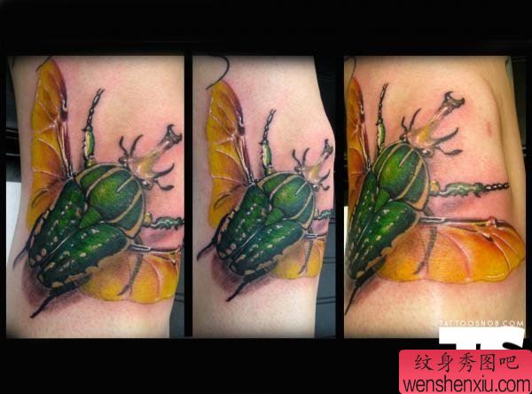 胳膊创意昆虫文身作品
